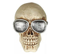 Calavera con Gafas Resina 11 cm