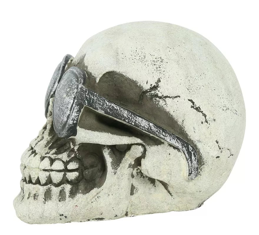 Calavera con Gafas Resina 11 cm