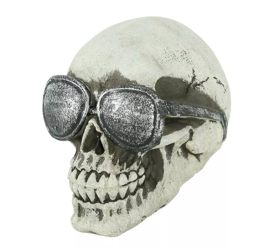 Calavera con Gafas Resina 11 cm