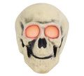 Calavera con Led 30 cms