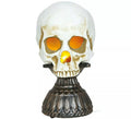 Calavera con Luz y Sonido 28 cm