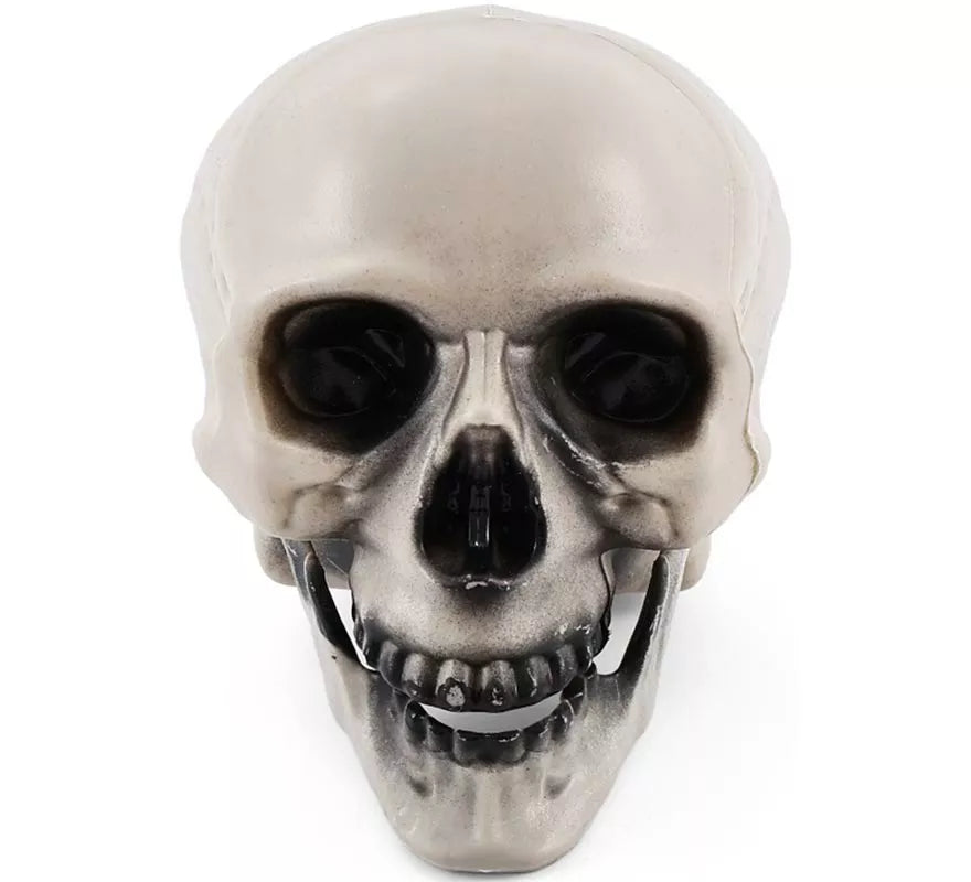 Translation missing: en.Calavera con Mandíbula con Movimiento