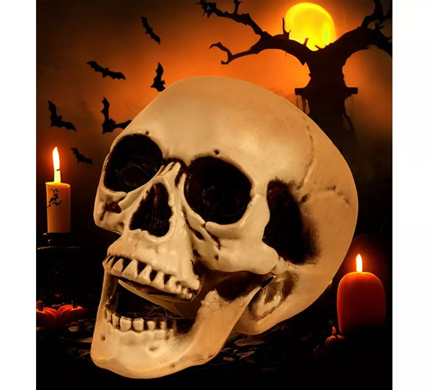 Translation missing: en.Cráneo o Calavera con Mandíbula Móvil de 12 cm