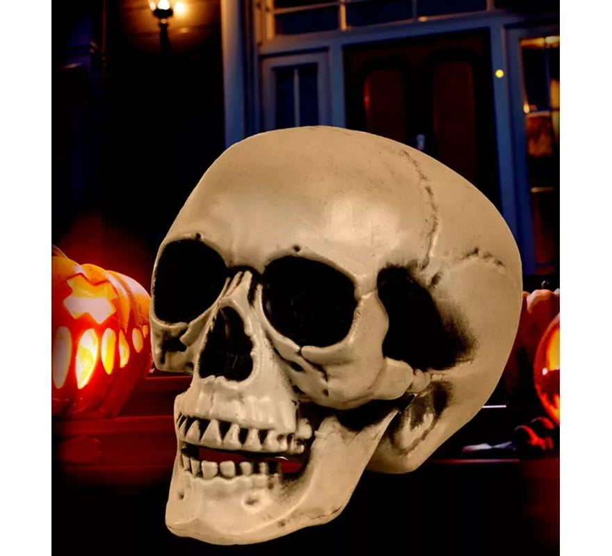 Translation missing: en.Cráneo o Calavera con Mandíbula Móvil de 12 cm