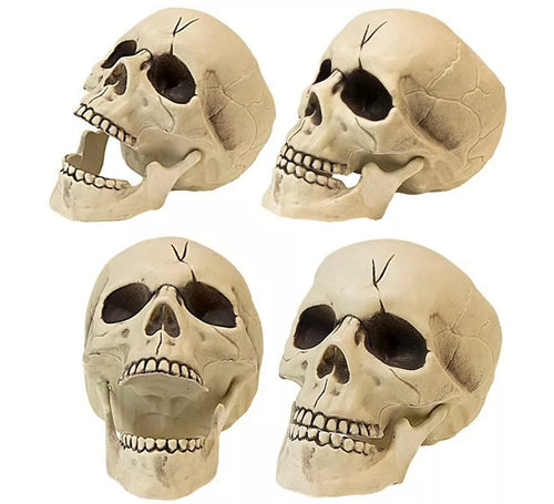 Calavera con Mandíbula y Movimiento de Plástico de 21 cm