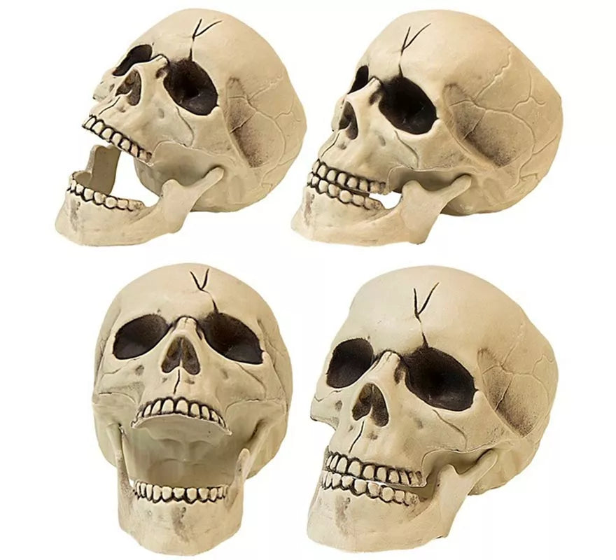 Calavera con Mandíbula y Movimiento de Plástico de 21 cm