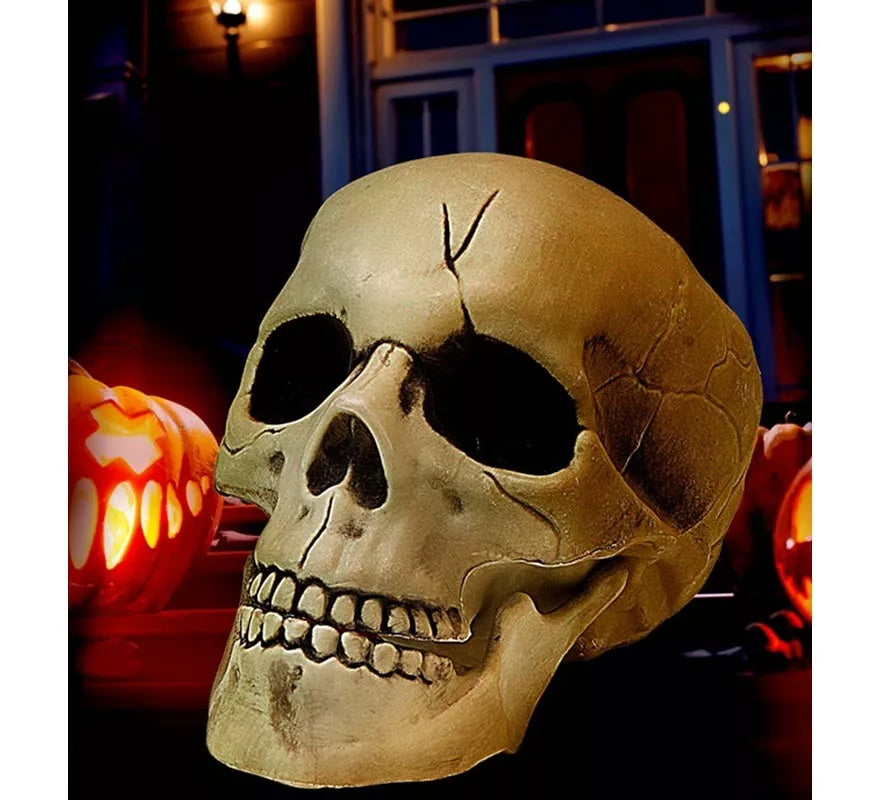 Translation missing: en.Calavera con Mandíbula y Movimiento de Plástico de 21 cm