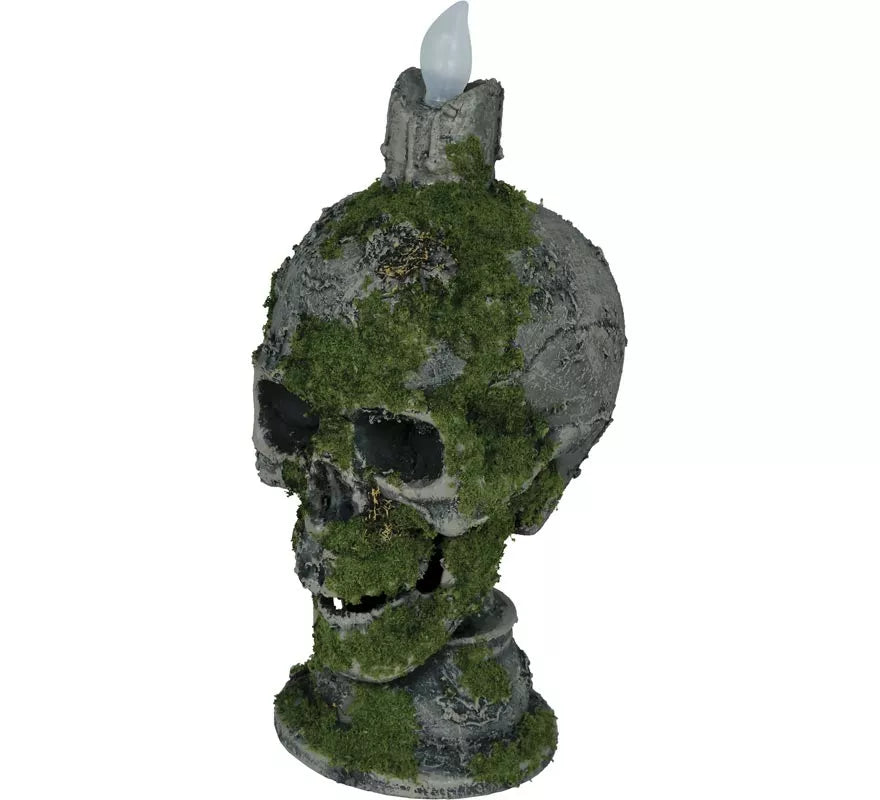 Translation missing: en.Calavera con Vela y Musgo con Luz de 35 cm