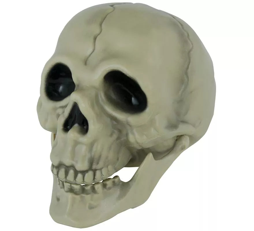 Calavera de 13 cm
