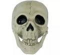 Calavera de 13 cm
