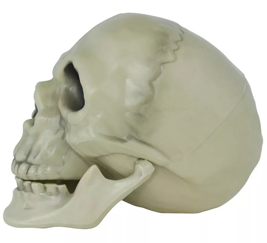 Calavera de 13 cm
