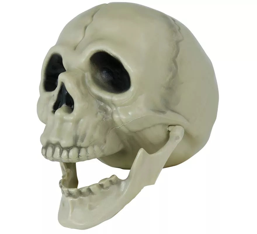 Translation missing: en.Calavera de 13 cm
