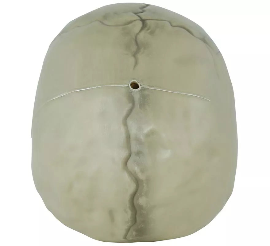 Calavera de 13 cm
