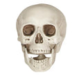 Calavera de 20 cm