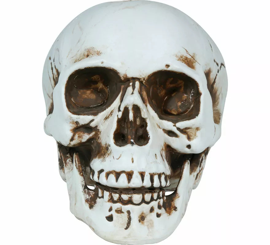 Translation missing: en.Calavera de 22 cm