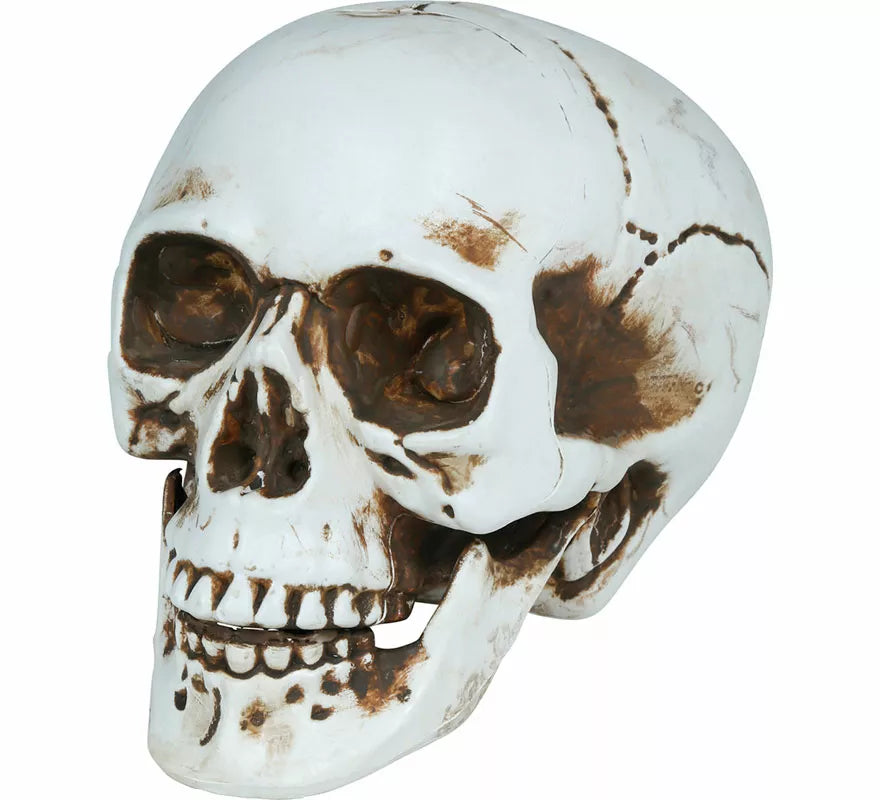 Calavera de 22 cm