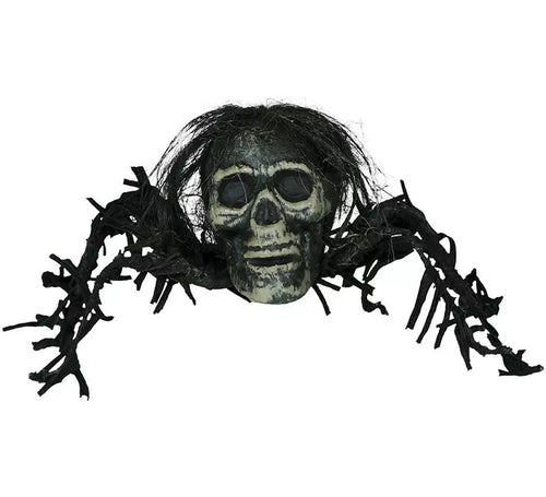 Calavera de Araña de 38 cm