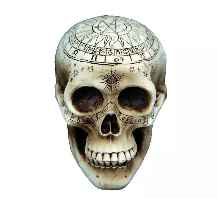 Translation missing: en.Calavera de Brujería con detalles de 20X14 cm