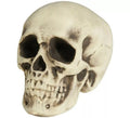 Calavera de Foam 20 cm