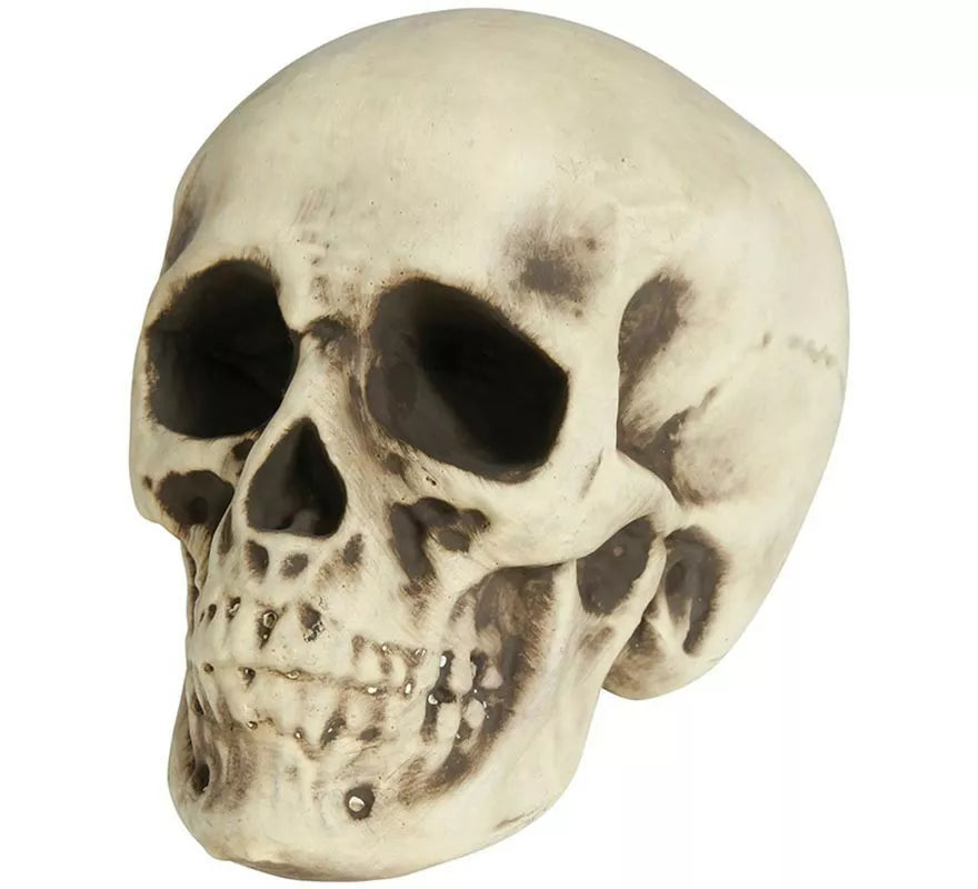 Translation missing: en.Calavera de Foam 20 cm