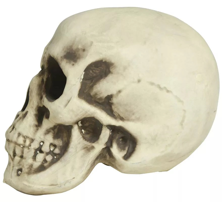Calavera de Foam 20 cm