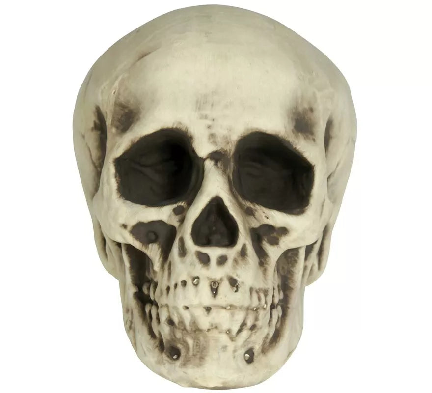 Calavera de Foam 20 cm