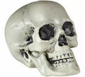 Calavera de PVC de 21 cm