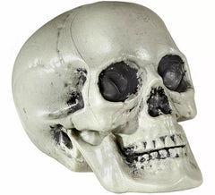 21cm PVC skull