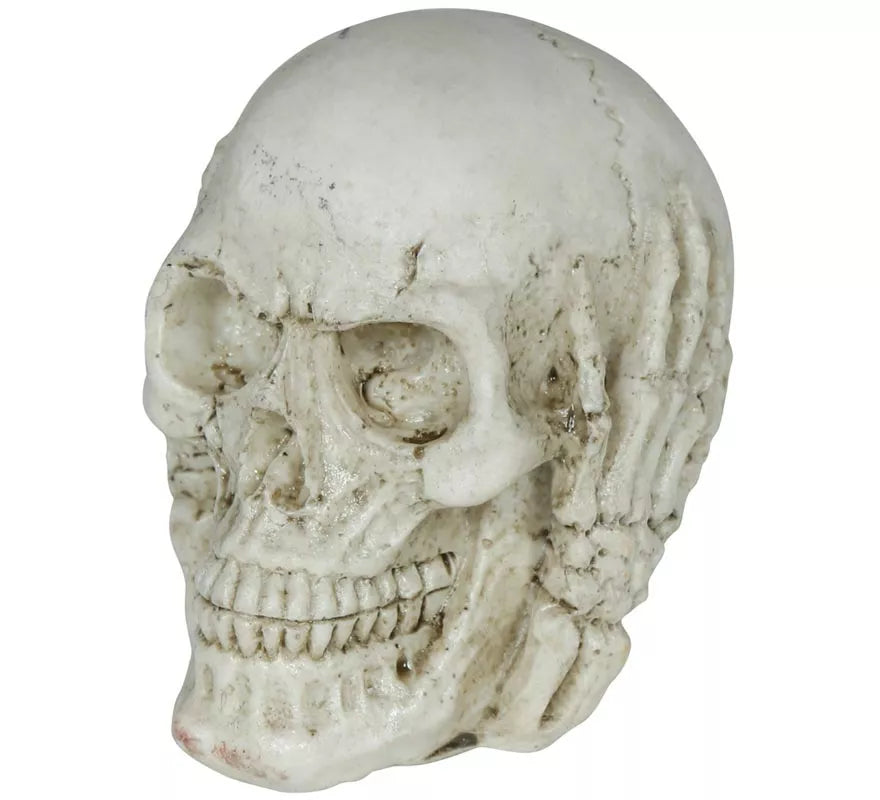 Calavera de Resina de 6 cm