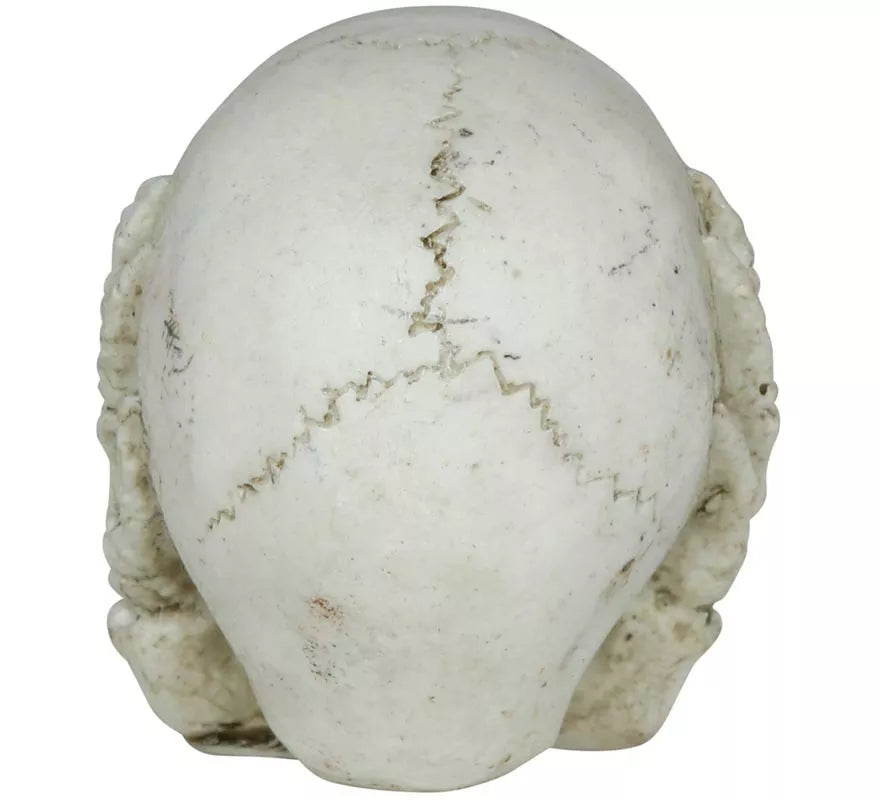 Calavera de Resina de 6 cm