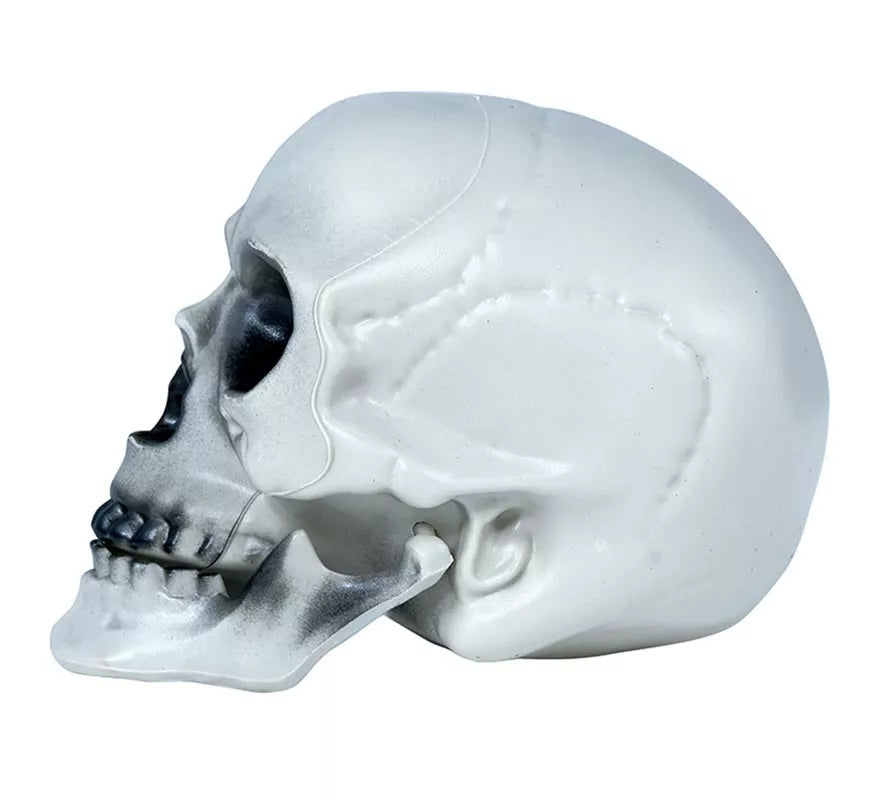 Calavera PVC 20 cms