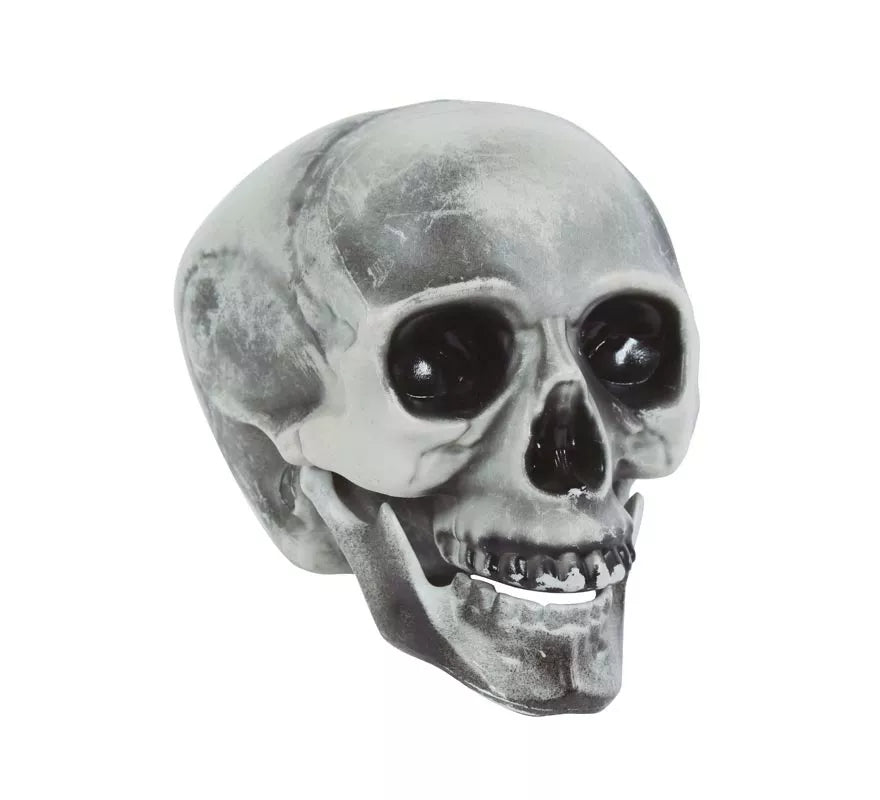 Calavera PVC 20 cms