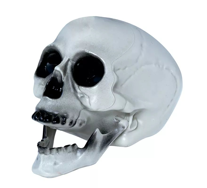 Calavera PVC 20 cms