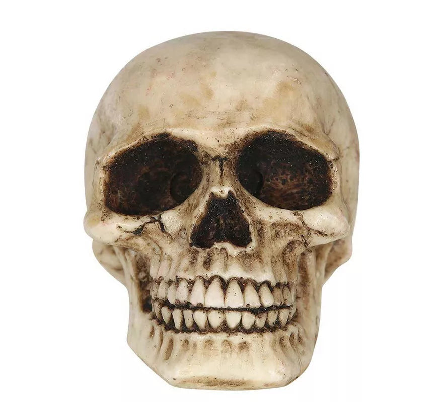 Translation missing: en.Calavera Resina de 8 cm