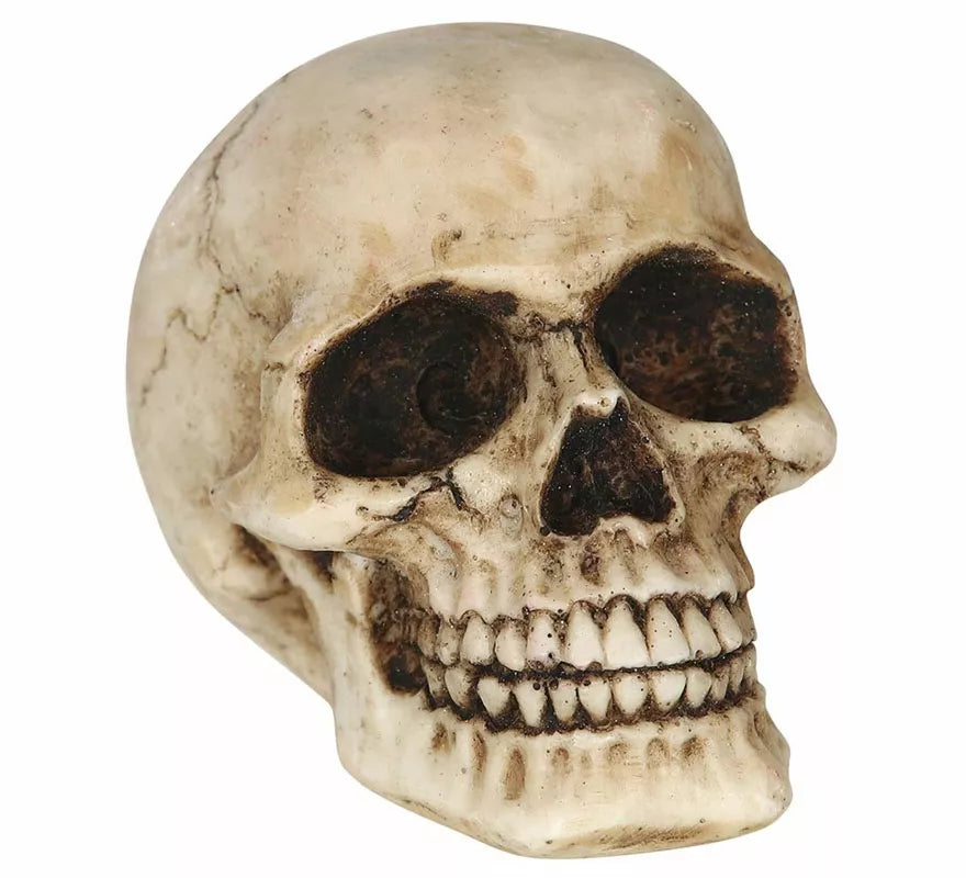 Calavera Resina de 8 cm