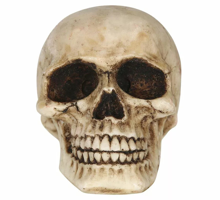 Calavera Resina de 8 cm