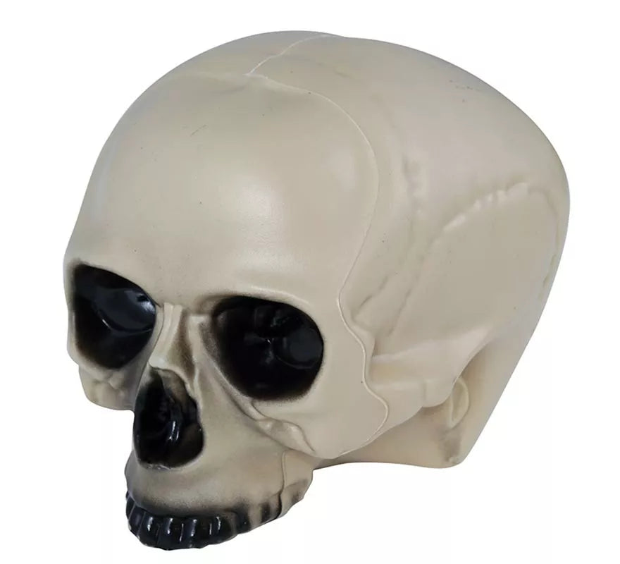 Calavera sin Mentón 20 cm