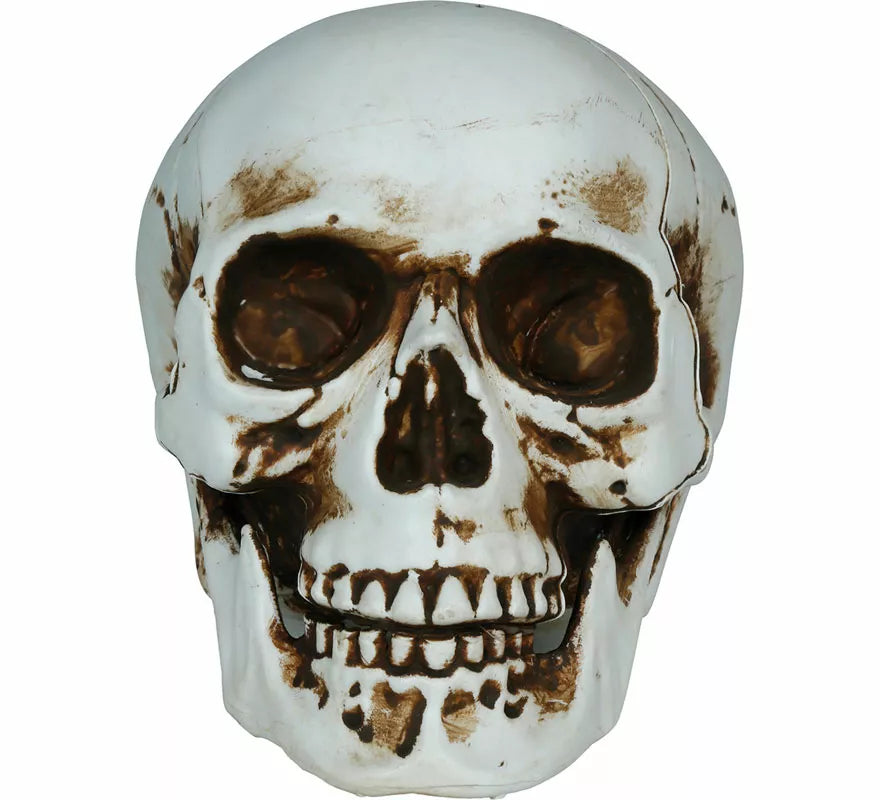 Translation missing: en.Calavera Sombras de 20 cm