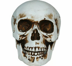 20 cm Shadow Skull