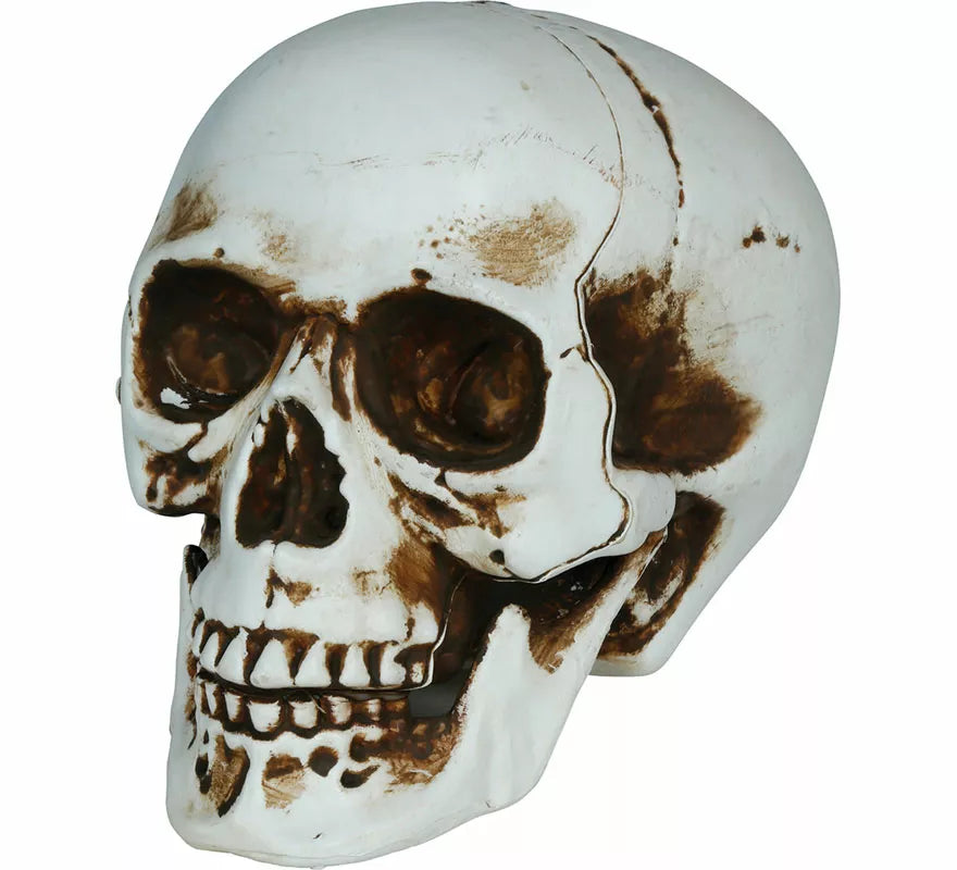 Translation missing: en.Calavera Sombras de 20 cm