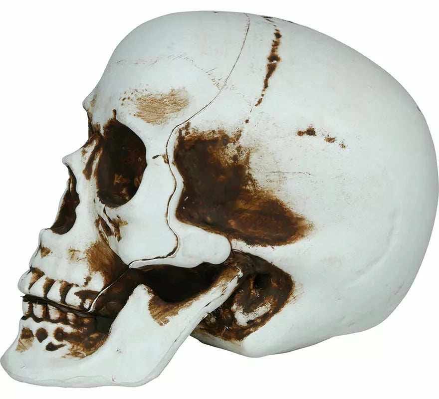 Translation missing: en.Calavera Sombras de 20 cm