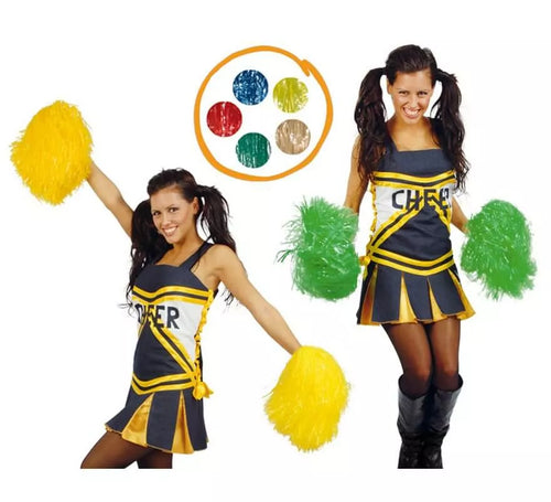 Cartón 2 Pom-Pom colores variados