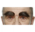 Cejas despuntadas marrón