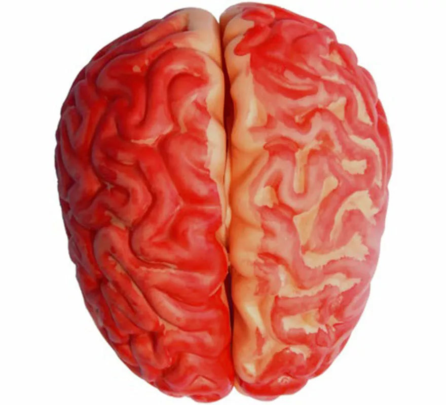 Cerebro Ensangrentado