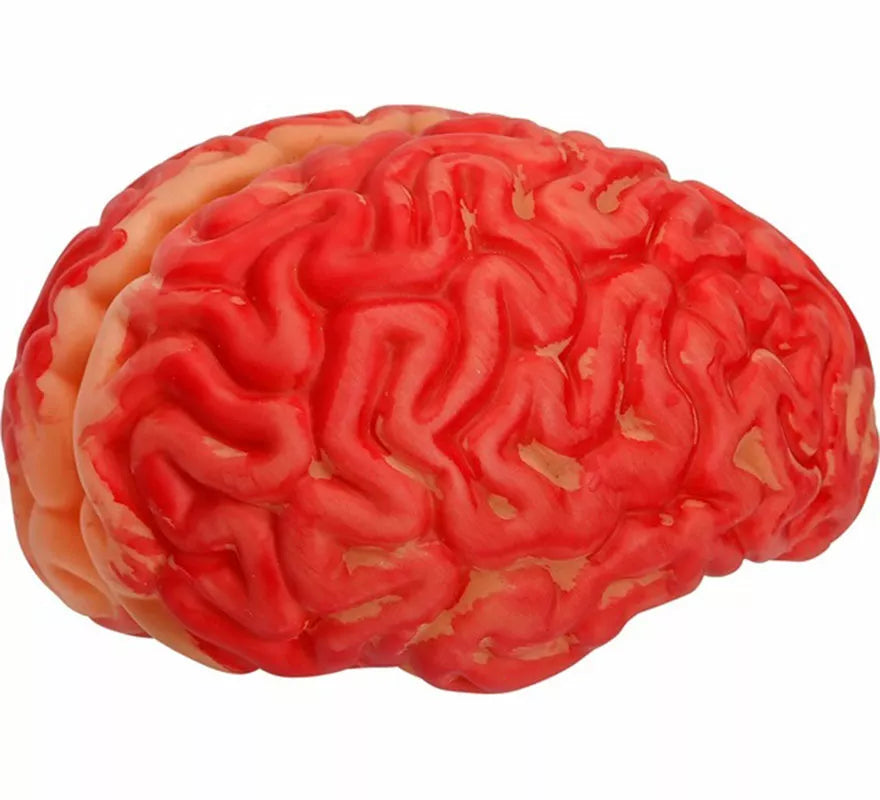 Cerebro Ensangrentado