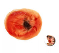 Cicatriz Postiza facial adulto falsa