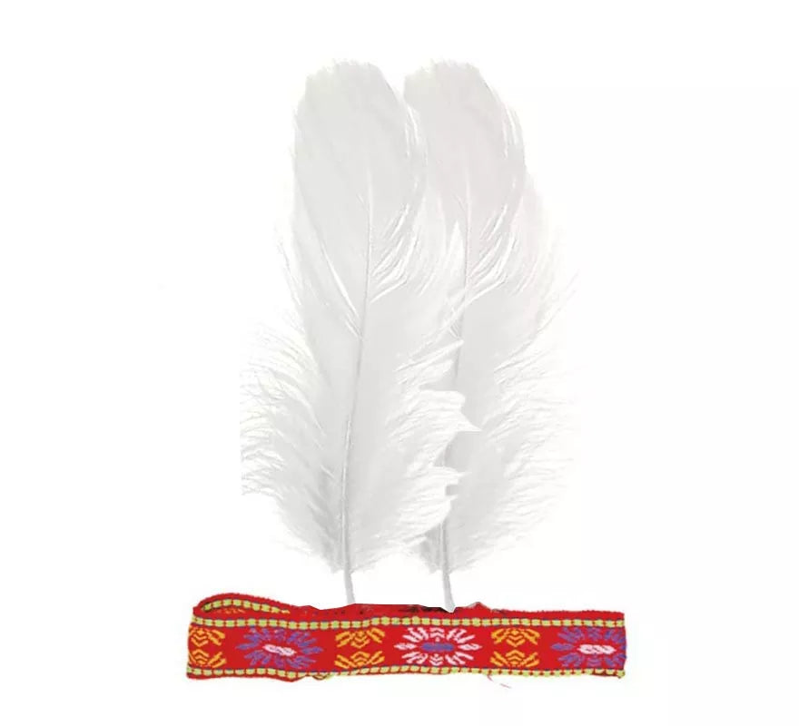 Translation missing: en.Cinta de Plumas colores surtidos para India
