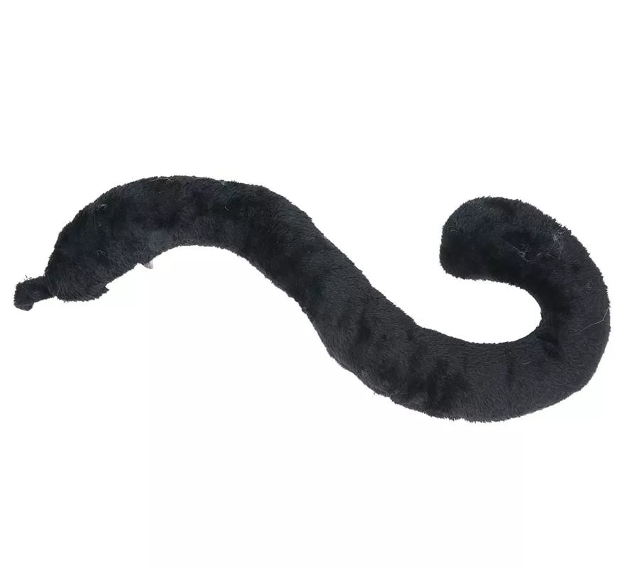 Cola de Gata Negra 50 cm