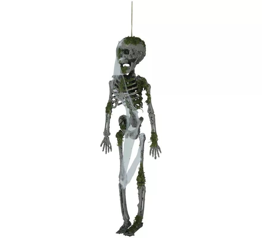 Colgante de Esqueleto con Musgo de 40 cm