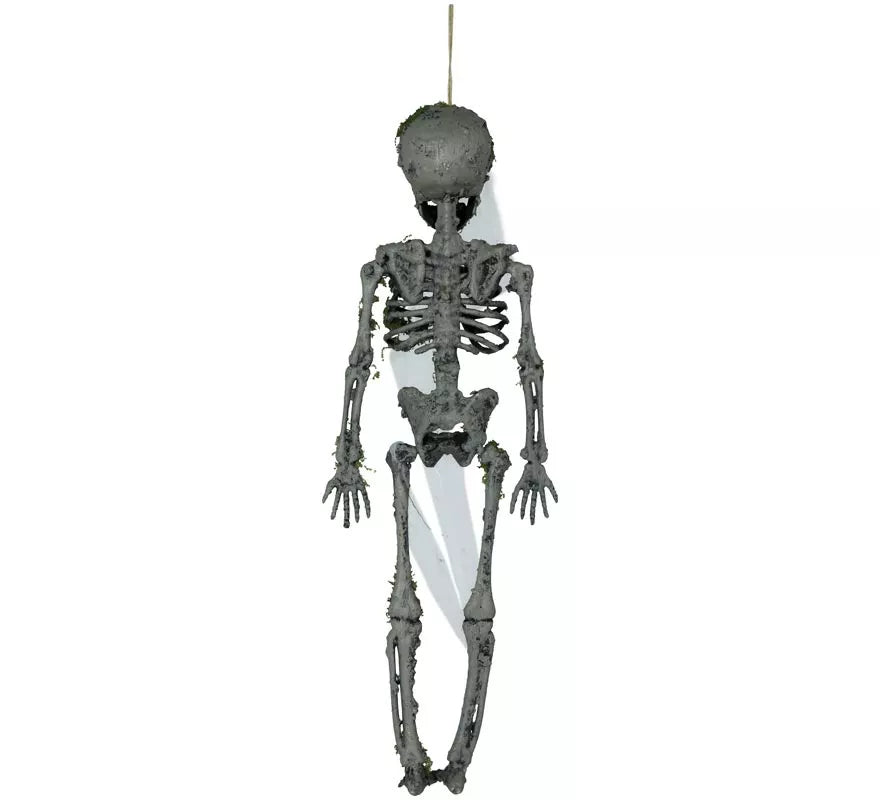 Colgante de Esqueleto con Musgo de 40 cm